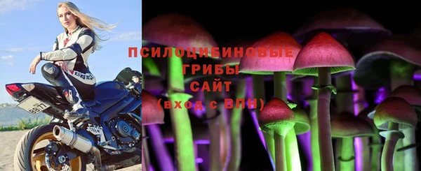 винт Алексин